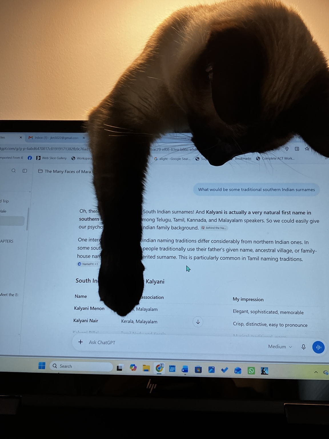 Shakti draped over Janet’s computer monitor, with one front leg hanging down across the screen.